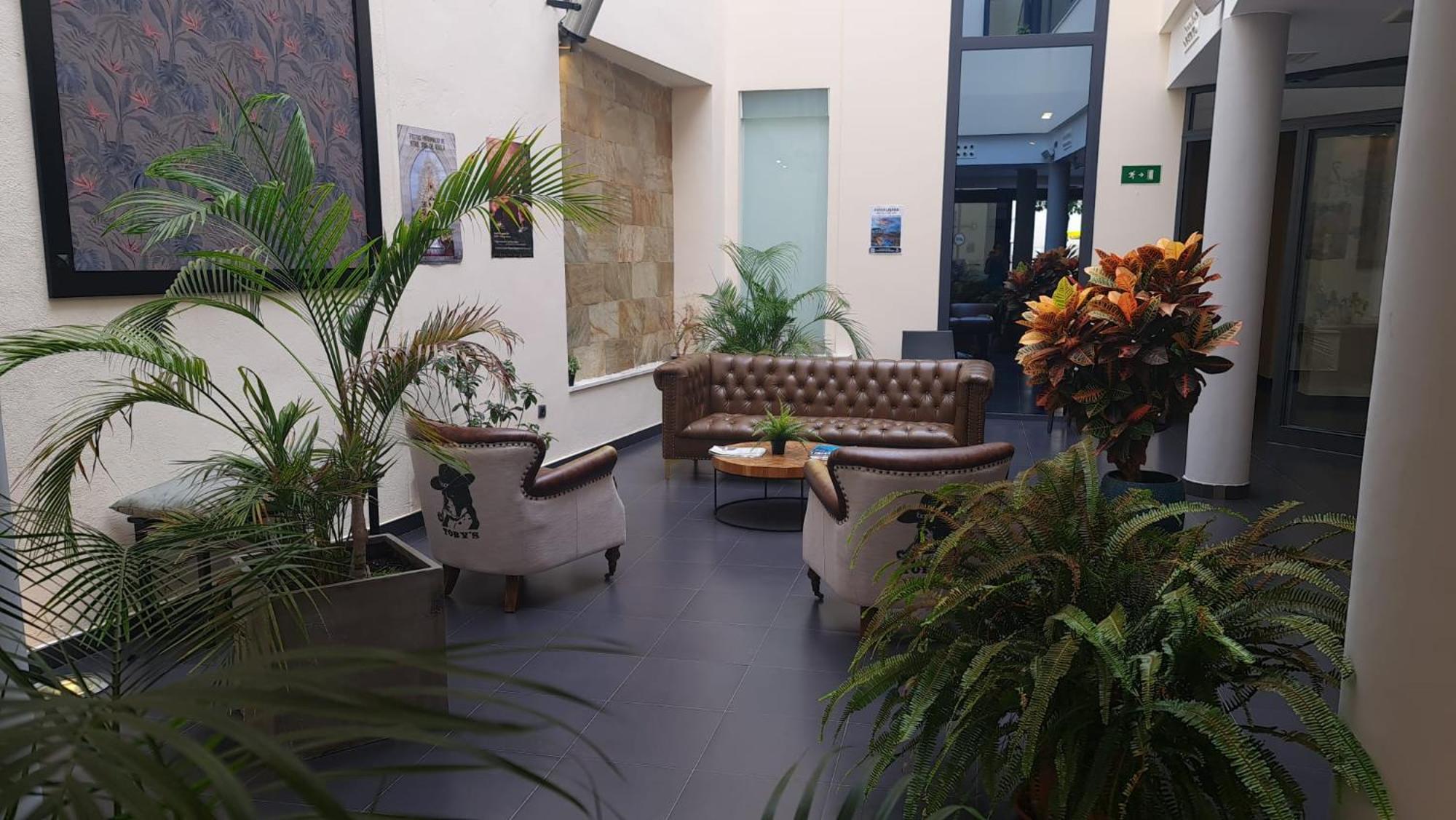 Hotel Los Nardos チピオナ エクステリア 写真